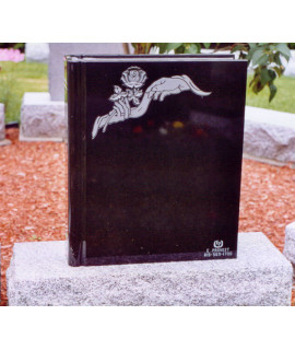 The book of your story The book of your story