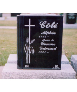 The book of life The book of life