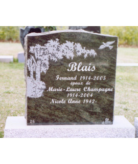 Olive Tree Olive Tree