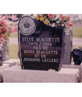 The Medallion The Medallion